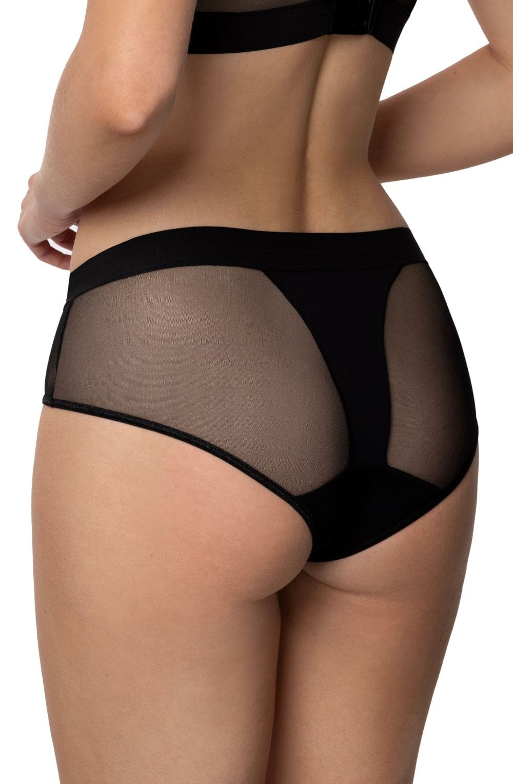 Roza Pasomela Black High-Waist Brief with lightweight mesh Mesh and Satin Bands - Bodybloom