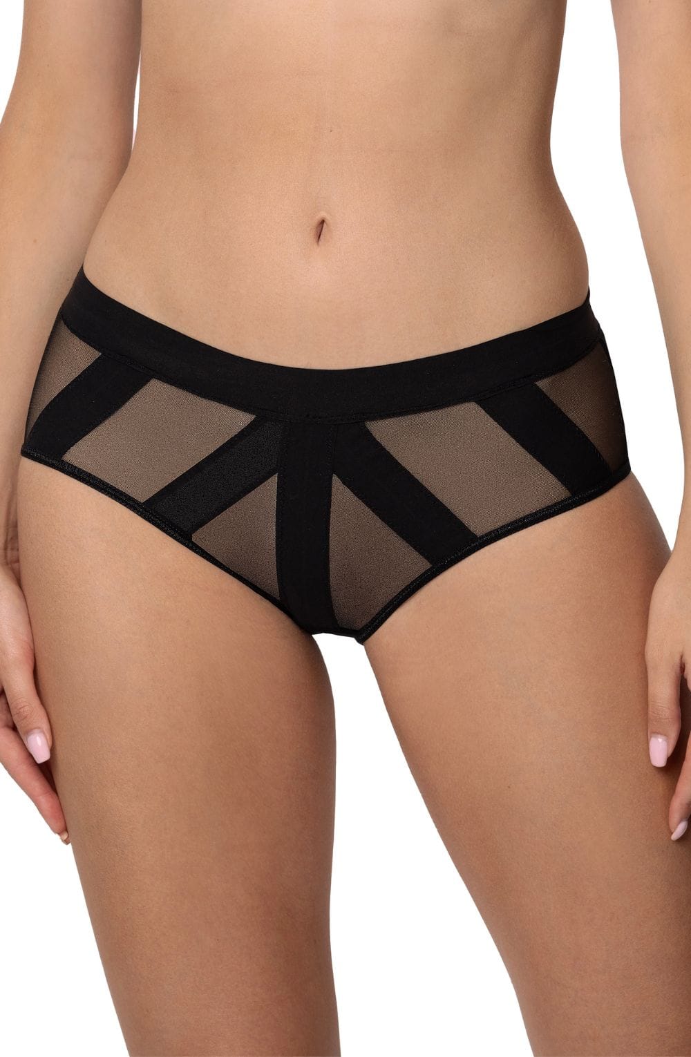 Roza Pasomela Black High-Waist Brief with lightweight mesh Mesh and Satin Bands - Bodybloom