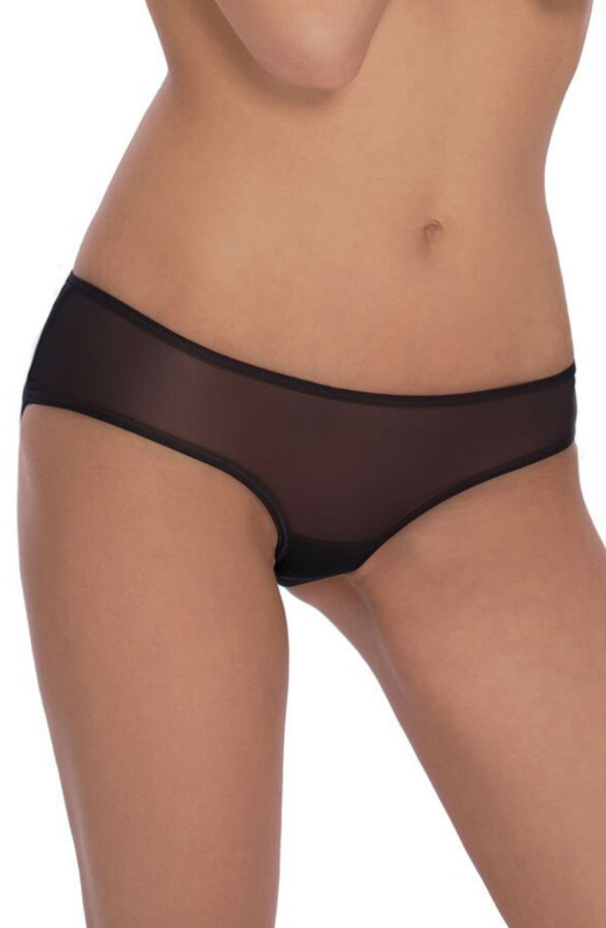 Roza Lica Black Lightweight Mesh Mesh Brief with Embroidered Heart Design